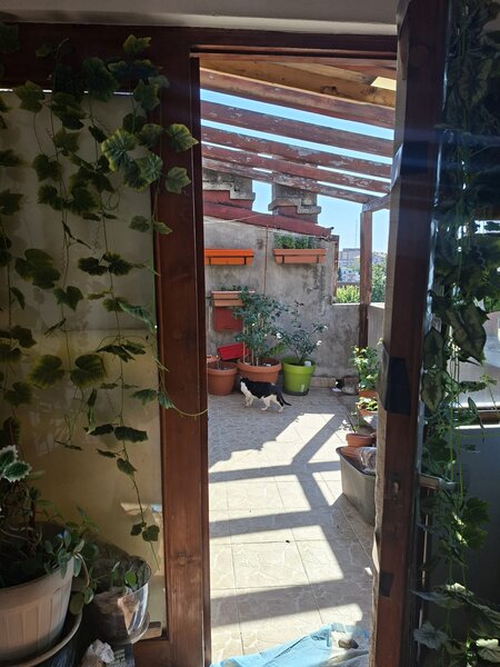 Bulevardul Dacia, Calea Grivitei