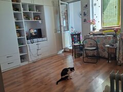 Bulevardul Dacia, Calea Grivitei